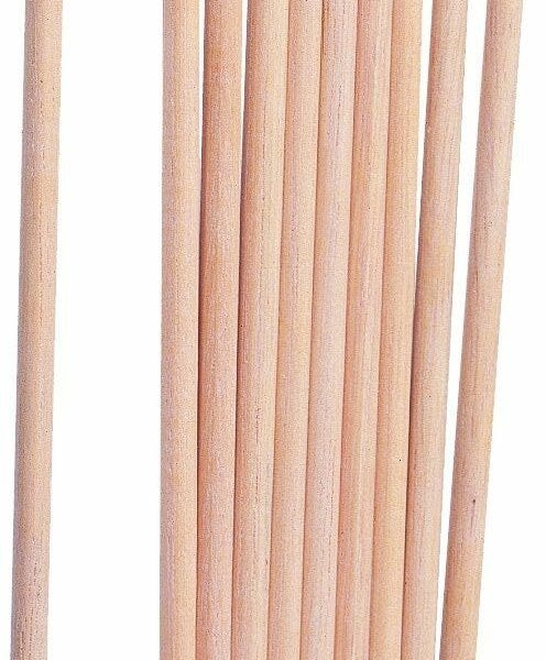 10 Palitos Naranjo