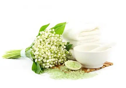 cosmeticos-infobox-2 cosmeticos-infobox-2